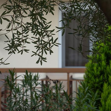 Guesthouse Adonis กาโต ลูตรากี ภายนอก รูปภาพ
